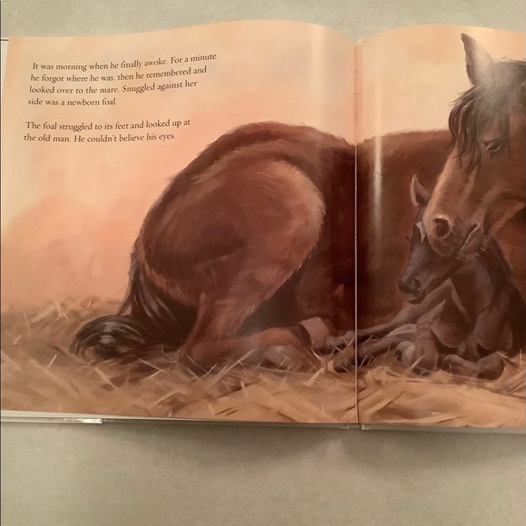 🤑”Winter’s Gift” book by Jane Monroe Donovan - Picture 10 of 11